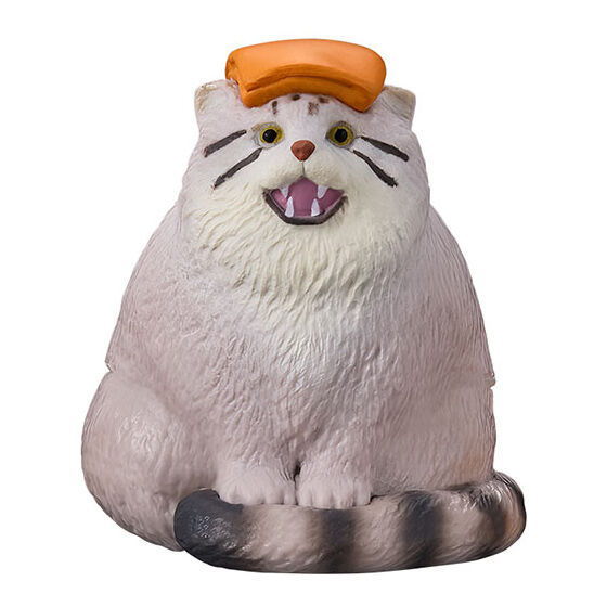 Animal sauna Part.11 [3.Manul cat]