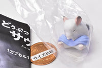 Animal sauna Part.11 [5.Chinchilla]
