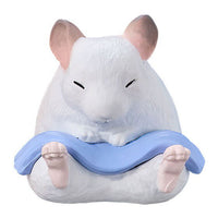 Animal sauna Part.11 [5.Chinchilla]