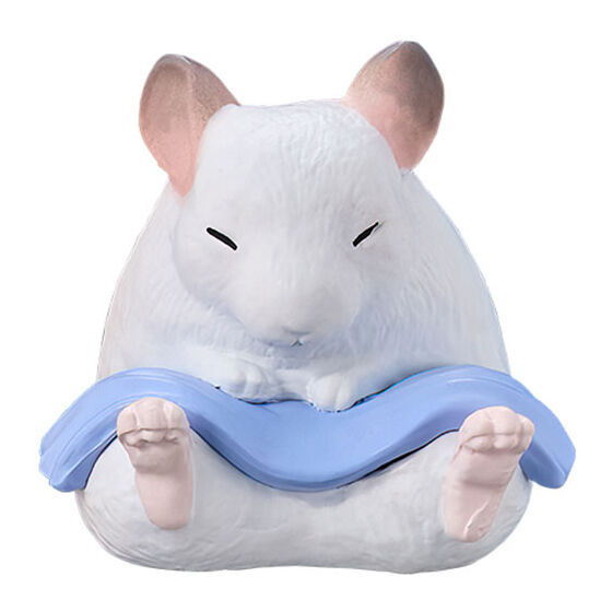 Animal sauna Part.11 [5.Chinchilla]