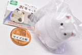 Ushihito's Pocha Pocha Cat-sama Flocky Figure Part.3 [5.Sitting pose White]