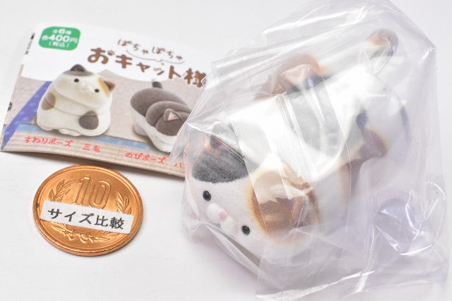 Ushihito's Pocha Pocha Cat-sama Flocky Figure Part.3 [6.Nobi pose Cali ...