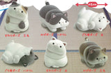 Ushihito's Pocha Pocha Cat-sama Flocky Figure Part.3 [All 6 type set (Full Complete)]