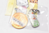 Pochacco sweets charm [2.Melon soda]