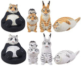 Toransform [All 8 type set(Full Complete)]