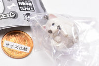 Manmaru Animal Manmaru Dog Mascot [2.Shiba Inu]