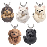 Manmaru Animal Manmaru Dog Mascot [All 5 type set(Full Complete)]