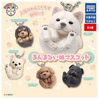 Manmaru Animal Manmaru Dog Mascot [All 5 type set(Full Complete)]