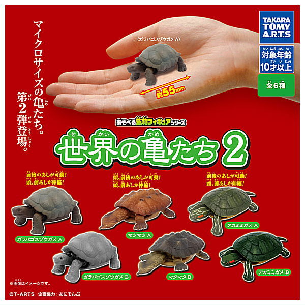 Turtles of the world Part.2 [All 6 type set(Full Complete)]