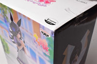 Umamusume Pretty Derby Rice Shower Figure [Damage box:Rice Shower]