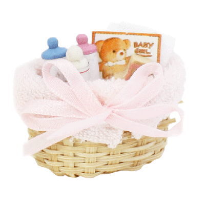 Miniature Basket baby set [B (L-11)]