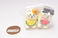 Nakayoshi Watermelon Cat (ZSV-79223) DECOLE concombre Watermelon Heaven