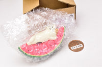 Watermelon Suyasuya Cat (ZSV-79225) DECOLE concombre Watermelon Heaven