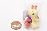 [Keikashu Rabbit (ZCB-28392)] DECOLE concombre Otsukimi