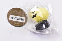 Hikari pumpkin (ZHW-35273H) DECOLE concombre 2023 Halloween