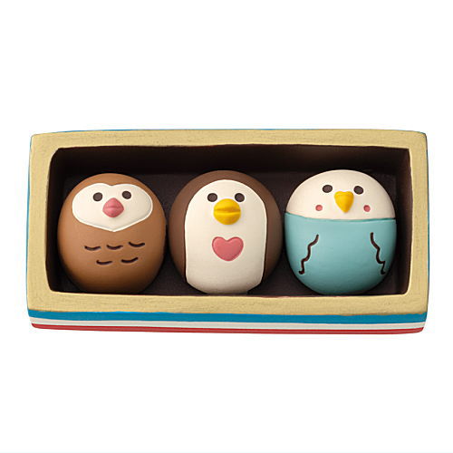 Toricolor Chocolat BOX (ZCB-90306) DECOLE concombre chocolate 2024