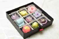 Miniature Food Hitokuchi Japanese Sweets Assortment Set [Miniature Artist: Yumiko Kasuya Mother's Day 2021 New Limited Sale]