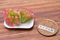 Miniature food vegetable series Sunny lettuce 2 pieces [SMLVEG12] [Item number: 35756]