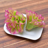 Miniature food vegetable series Sunny lettuce 2 pieces [SMLVEG12] [Item number: 35756]