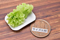 Miniature food vegetable series Frill lettuce 2 pieces [SMLVEG13] [Item number: 35757]