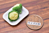 Miniature food vegetable series Cauliflower 2 pieces [SMLVEG15] [Item number: 35759]