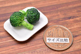 Miniature food vegetable series Broccoli 2 pieces [SMLVEG24] [Item number: 35674]