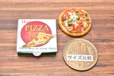 Miniature Food Pizza Series (1) [PZ1]