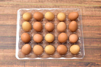 Miniature hood A set of 20 eggs in a pallet Brown [EGP1]