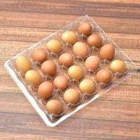 Miniature hood A set of 20 eggs in a pallet Brown [EGP1]