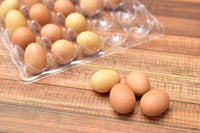 Miniature hood A set of 20 eggs in a pallet Brown [EGP1]