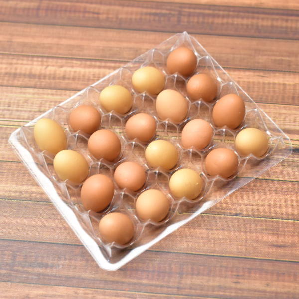 Miniature hood A set of 20 eggs in a pallet Brown [EGP1]