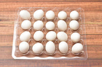 Miniature hood A set of 20 eggs in a pallet White [EGP2]