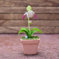 Miniature parts Potted Orchid [ORP1] (1/12 scale)