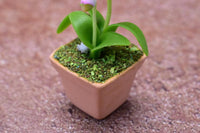 Miniature parts Potted Orchid [ORP1] (1/12 scale)