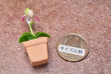 Miniature parts Potted Orchid [ORP1] (1/12 scale)