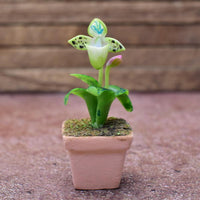 Miniature parts Potted Orchid [ORP2] (1/12 scale)