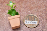 Miniature parts Potted Orchid [ORP2] (1/12 scale)