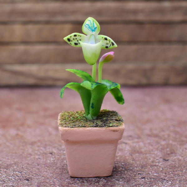 Miniature parts Potted Orchid [ORP2] (1/12 scale)