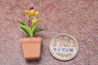 Miniature parts Potted Orchid [ORP3] (1/12 scale)