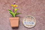 Miniature parts Potted Orchid [ORP3] (1/12 scale)