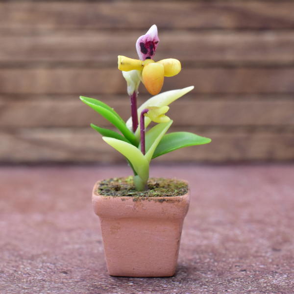 Miniature parts Potted Orchid [ORP3] (1/12 scale)