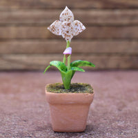 Miniature parts Potted Orchid [ORP4] (1/12 scale)