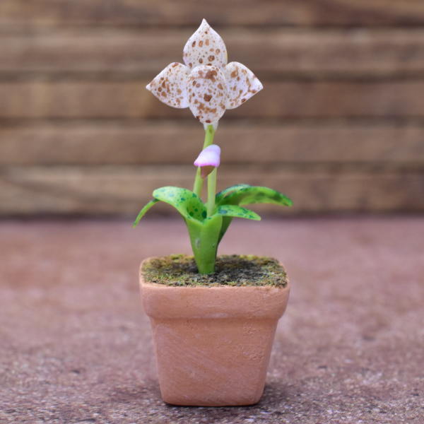 Miniature parts Potted Orchid [ORP4] (1/12 scale)