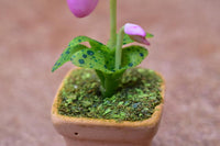 Miniature parts Potted Orchid [ORP5] (1/12 scale)