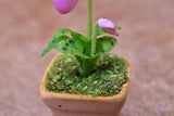 Miniature parts Potted Orchid [ORP5] (1/12 scale)