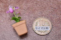 Miniature parts Potted Orchid [ORP5] (1/12 scale)