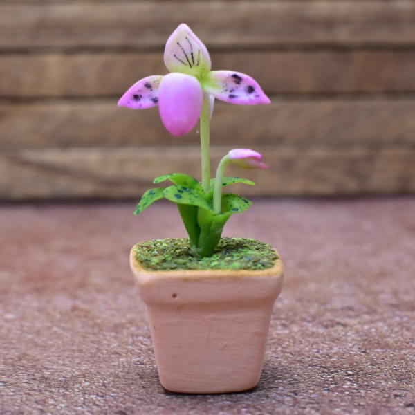 Miniature parts Potted Orchid [ORP5] (1/12 scale)