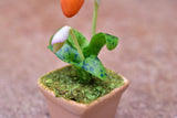 Miniature parts Potted Orchid [ORP6] (1/12 scale)