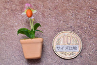 Miniature parts Potted Orchid [ORP6] (1/12 scale)