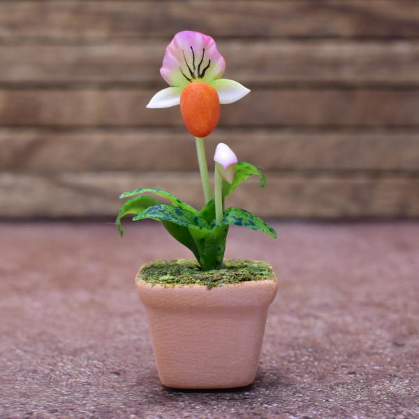 Miniature parts Potted Orchid [ORP6] (1/12 scale)